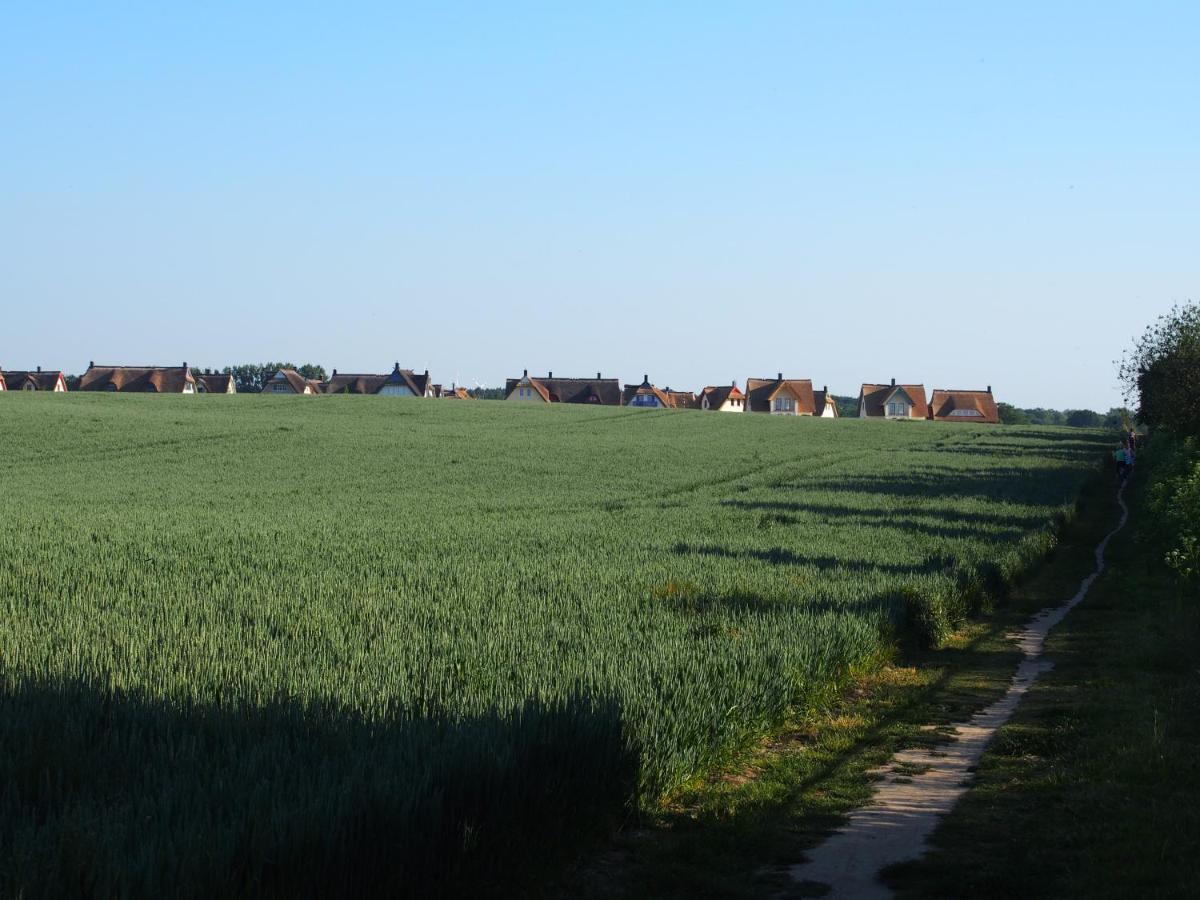 Emilias Hues, Reethaus In Der Bucht Von Wismar Zierow Bagian luar foto