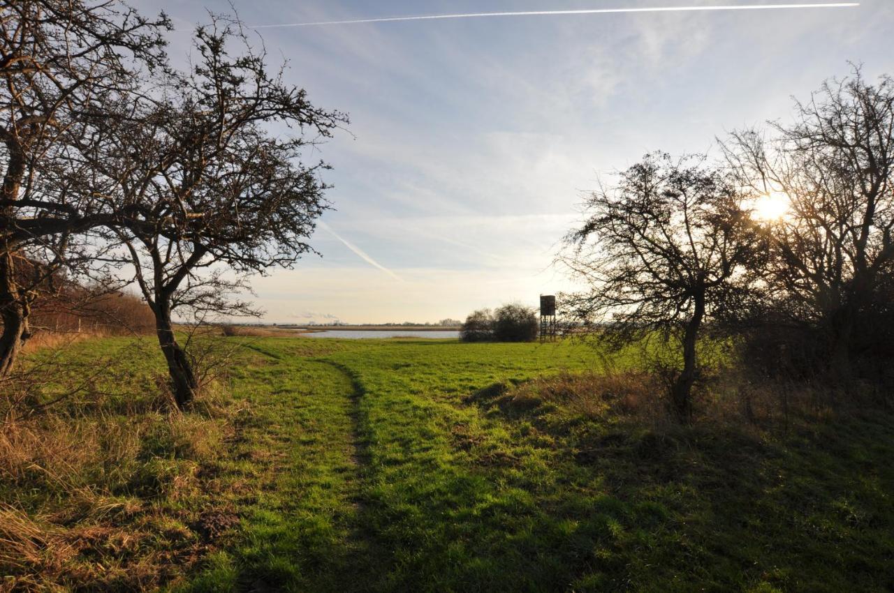 Emilias Hues, Reethaus In Der Bucht Von Wismar Zierow Bagian luar foto
