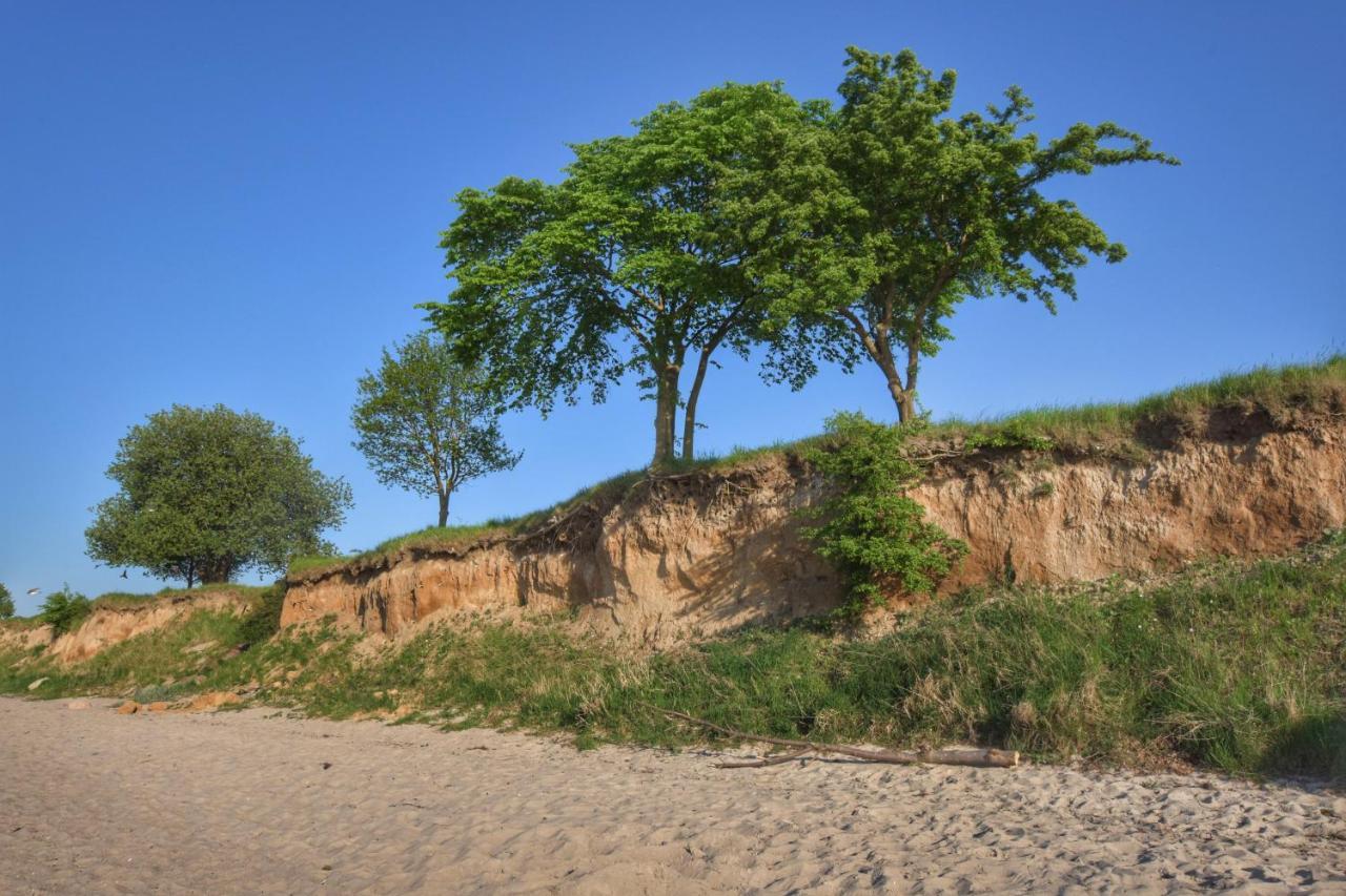 Emilias Hues, Reethaus In Der Bucht Von Wismar Zierow Bagian luar foto