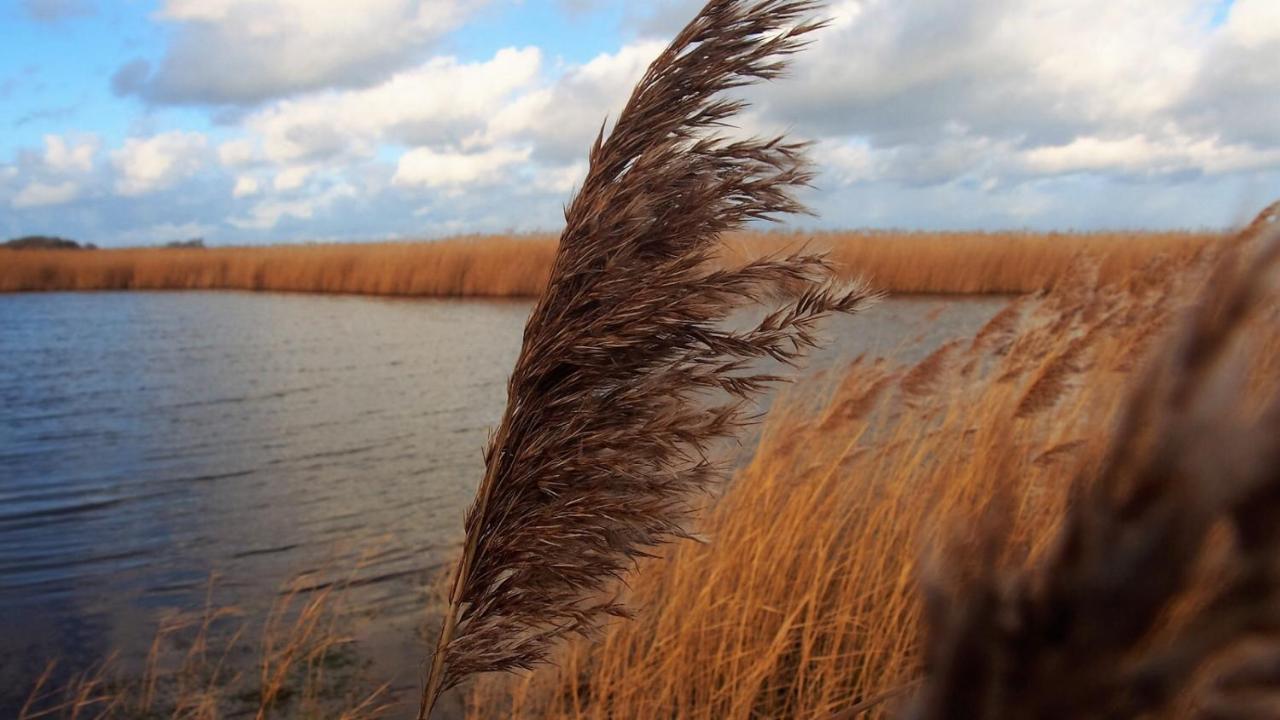 Emilias Hues, Reethaus In Der Bucht Von Wismar Zierow Bagian luar foto