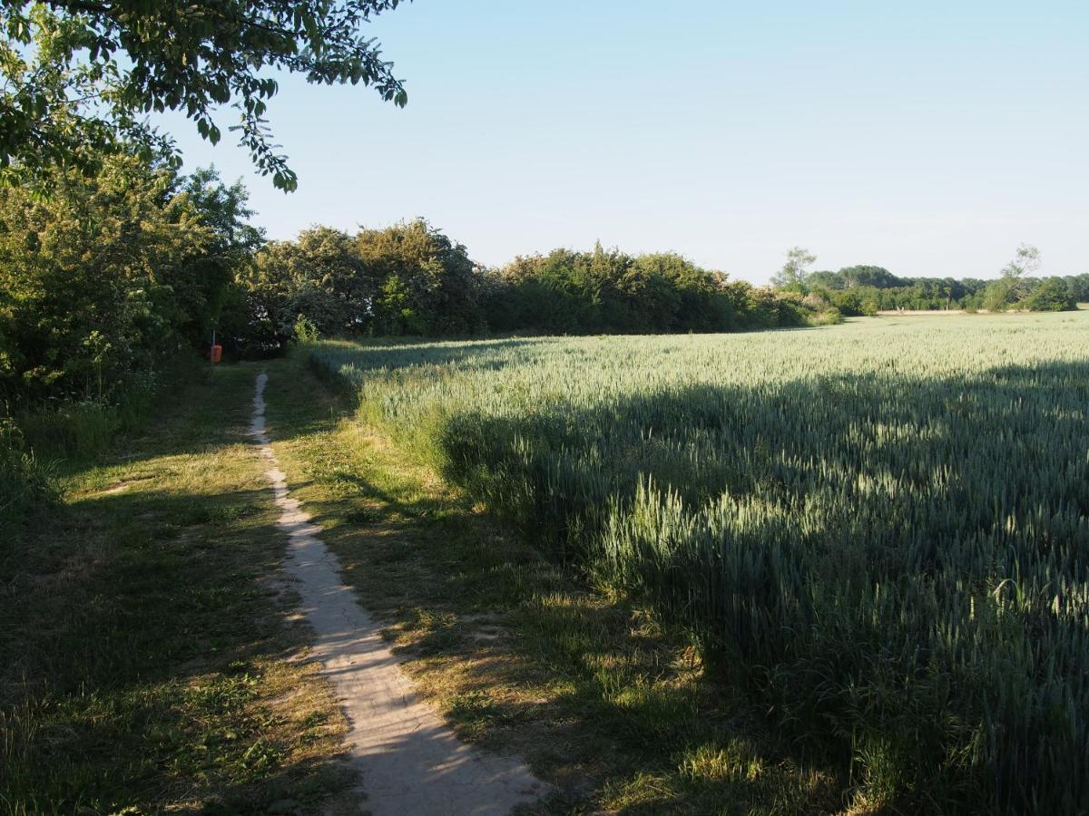 Emilias Hues, Reethaus In Der Bucht Von Wismar Zierow Bagian luar foto