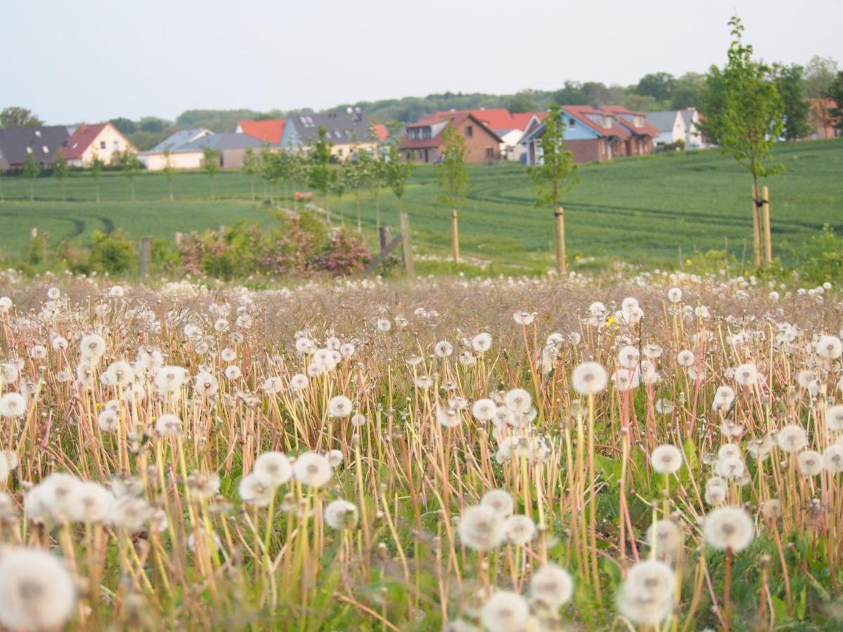 Emilias Hues, Reethaus In Der Bucht Von Wismar Zierow Bagian luar foto